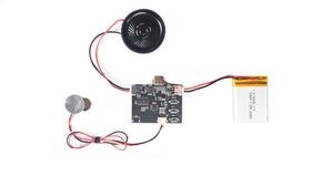 MP3 Soundmodul mit Magnetschalter